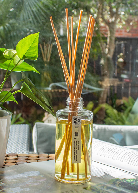 Cinnamon Orange - Reed Diffuser